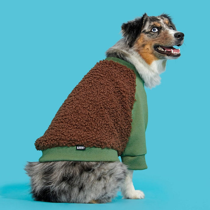BARK Home Varsity Dog Jacket - Green - S/M