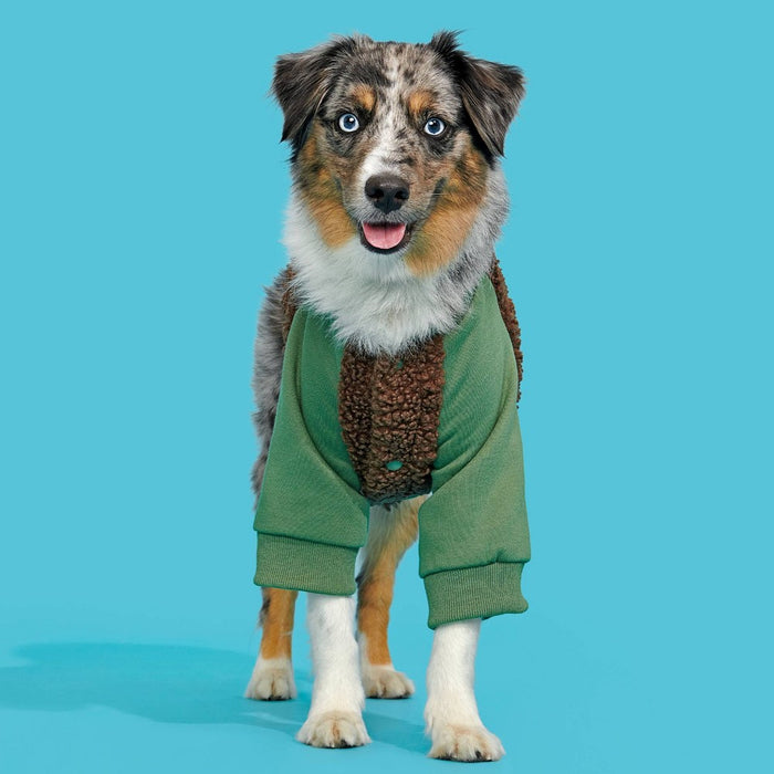 BARK Home Varsity Dog Jacket - Green - S/M