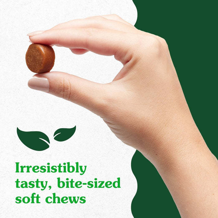 Greenies Hip and Joint Chicken Flavor Supplements for Dogs - 16.2oz/80ct