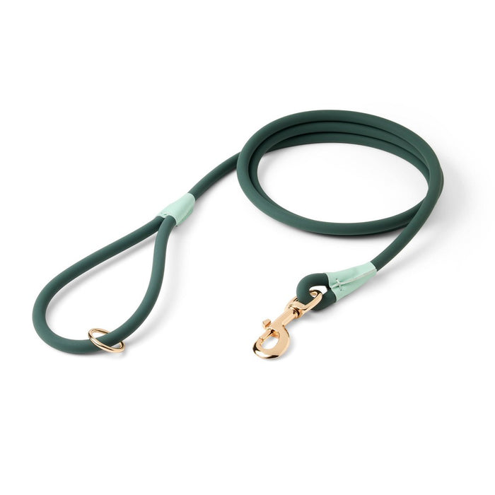 Dog Leash - Green Tonal - The Cuddle Collab