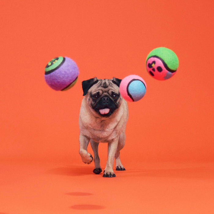 BARK Halloween Muttster Madness Zombie Head Ball Dog Ball Toy