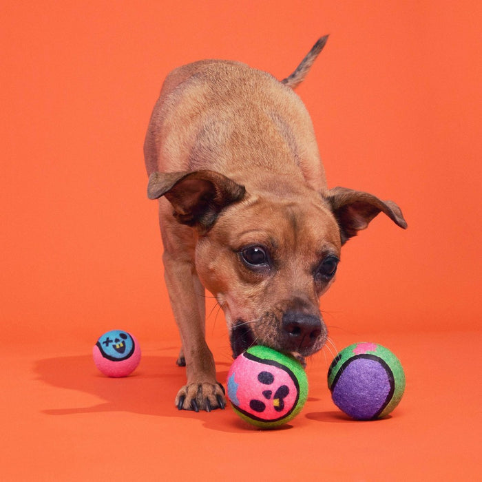 BARK Halloween Muttster Madness Zombie Head Ball Dog Ball Toy