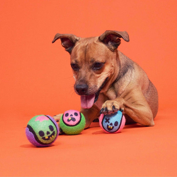 BARK Halloween Muttster Madness Zombie Head Ball Dog Ball Toy