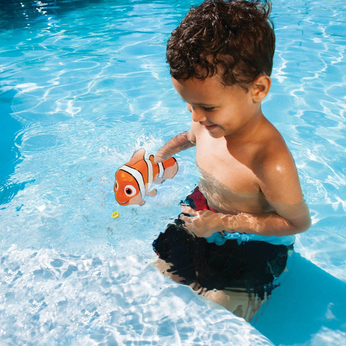 Nemo/Squirt/Dory Guppies - Nemo