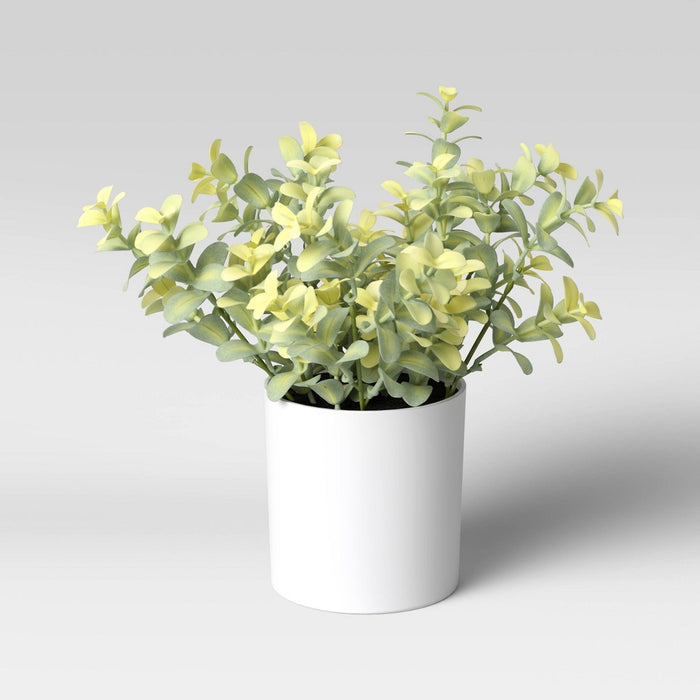 9" x 6" Artificial Boxwood Arrangement - Threshold