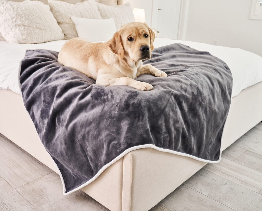 Pupprotector Waterproof Throw Blanket - Blue Velvet