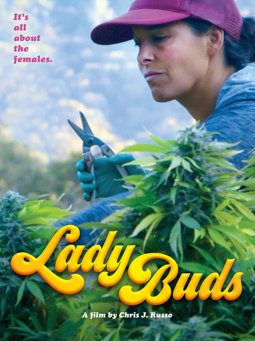 Lady Buds *ADD 3 TO YOUR CART & 1 IS FREE!*