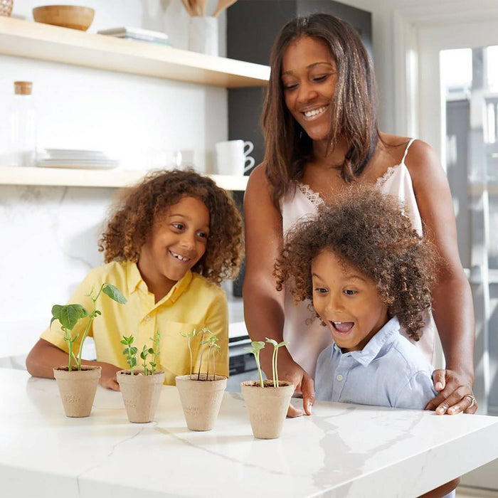 Back to the Roots Kids' Watermelon Science Grow Kit