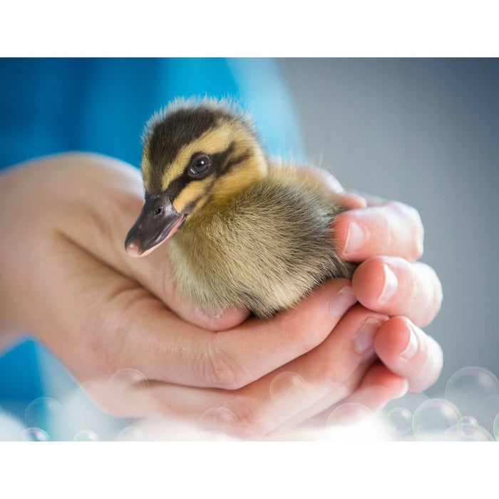 Dawn Ultra Dishwashing Liquid Dish Soap, Original Scent - 7 fl oz