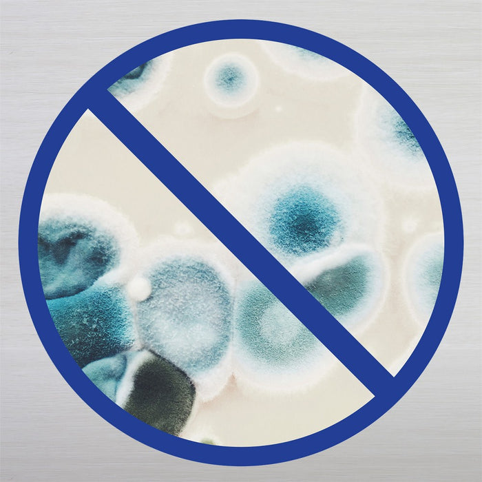 Lysol Disinfectant Early Morning Breeze Spray - 19oz