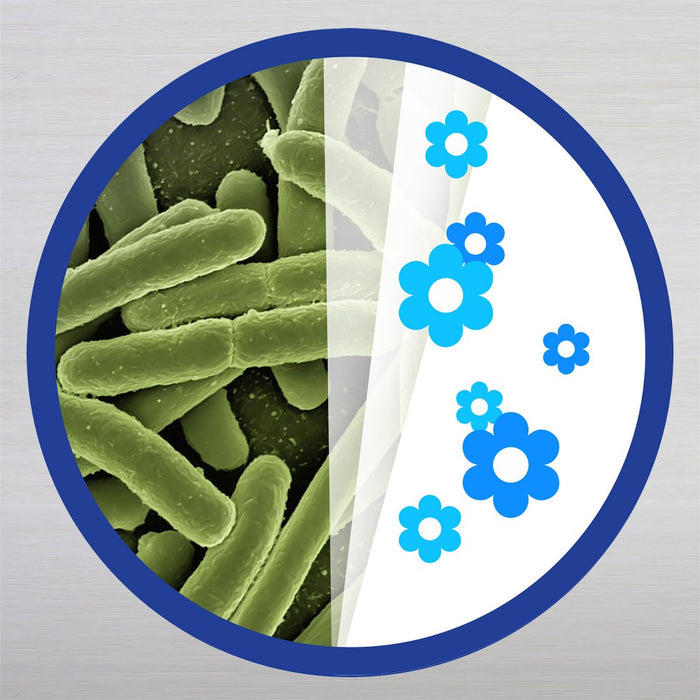 Lysol Disinfectant Early Morning Breeze Spray - 19oz