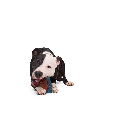 BARK Sniffin Booty Sniffwreck Dog Interactive Toy