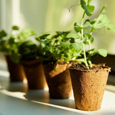 Back to the Roots 24ct Organic & Peat Free Plantable Seed Starting Pots