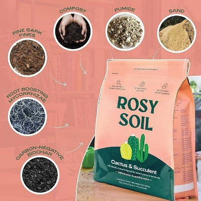 Rosy Soil 4lb Cactus & Succulent Mix Potting Soil: Organic Blend for Indoor Plants, Moisture Control, Peat-Free