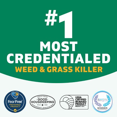 Spruce Weed and Grass Killer Trigger Spray 24oz