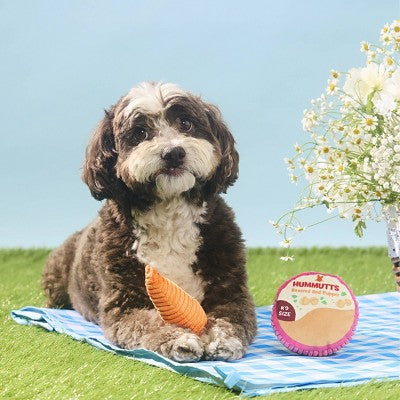 BARK Spring Picnic in the Bark Carrot and Hummutts Dog Plush Toy - 2pc