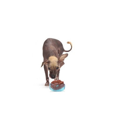 BARK Sniffin Booty Sniffwreck Dog Interactive Toy