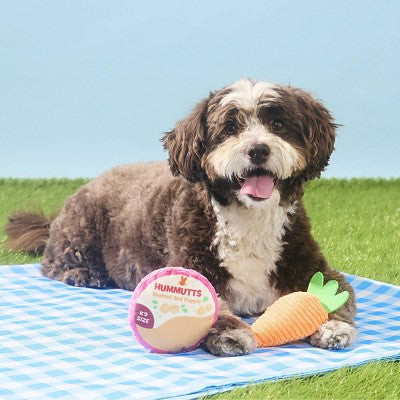 BARK Spring Picnic in the Bark Carrot and Hummutts Dog Plush Toy - 2pc