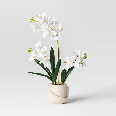 Luxe Orchid in Geometric Pot - Threshold (LOCAL PICKUP ONLY)