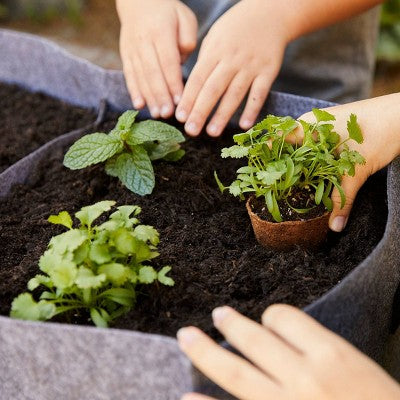 Back to the Roots 24ct Organic & Peat Free Plantable Seed Starting Pots