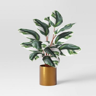 Luxe Maranta Leaf in Gold Pot - Threshold (LOCAL PICKUP ONLY)