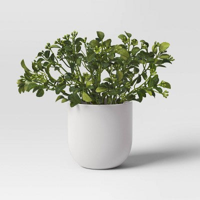 Artificial Mini Boxwood Arrangement - Threshold