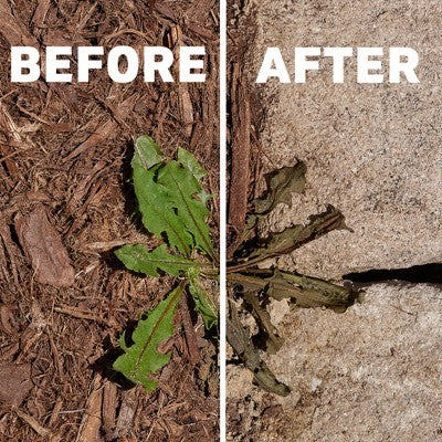 Spruce Weed and Grass Killer Trigger Spray 24oz