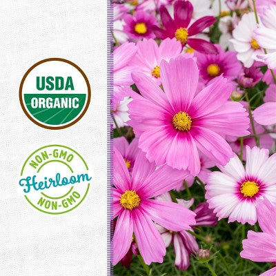 Back to the Roots Organic Cosmos Flower Grow Kit with Plantable Starting Pot Soil and Seeds