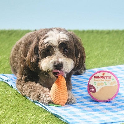 BARK Spring Picnic in the Bark Carrot and Hummutts Dog Plush Toy - 2pc