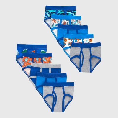 Hanes Toddler Boys' 10pk Briefs - Blue 4T