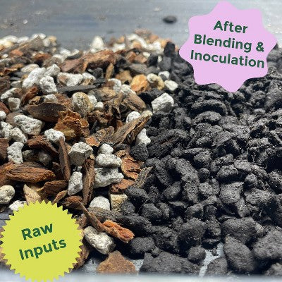 Rosy Soil 4lb Cactus & Succulent Mix Potting Soil: Organic Blend for Indoor Plants, Moisture Control, Peat-Free