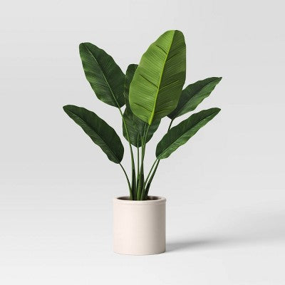 Large Banana Leaf Potted Plant - Threshold (LOCAL PICKUP ONLY)