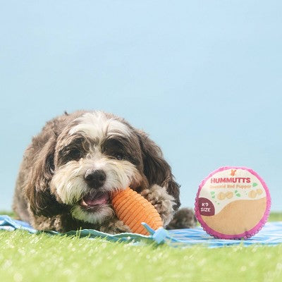 BARK Spring Picnic in the Bark Carrot and Hummutts Dog Plush Toy - 2pc