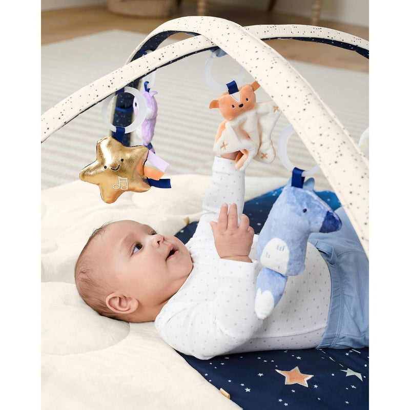 Skip Hop Celestial Dreams Activity Gym (LOCAL PICKUP ONLY)