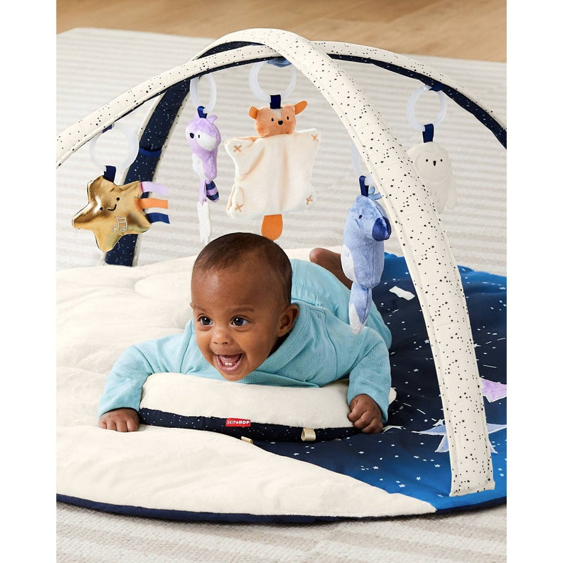 Skip Hop Celestial Dreams Activity Gym (LOCAL PICKUP ONLY)