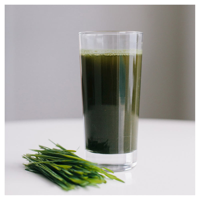 Amazing Grass Greens and Superfood Blend Powder - Original - 8.5oz