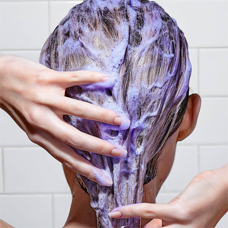 L'Oreal Par6is EverPure Sulfate Free Purple Shampoo - 23 fl oz