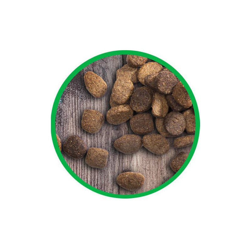Iams Proactive Health Lamb & Rice Recipe Adult Premium Dry Dog Food - 15lbs