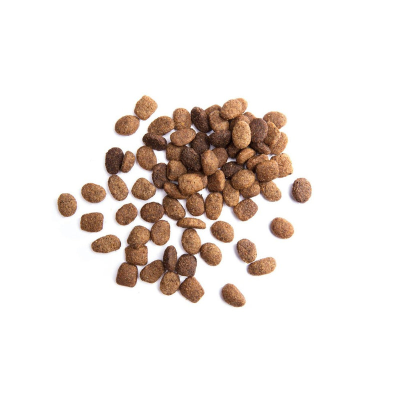 Iams Proactive Health Lamb & Rice Recipe Adult Premium Dry Dog Food - 15lbs