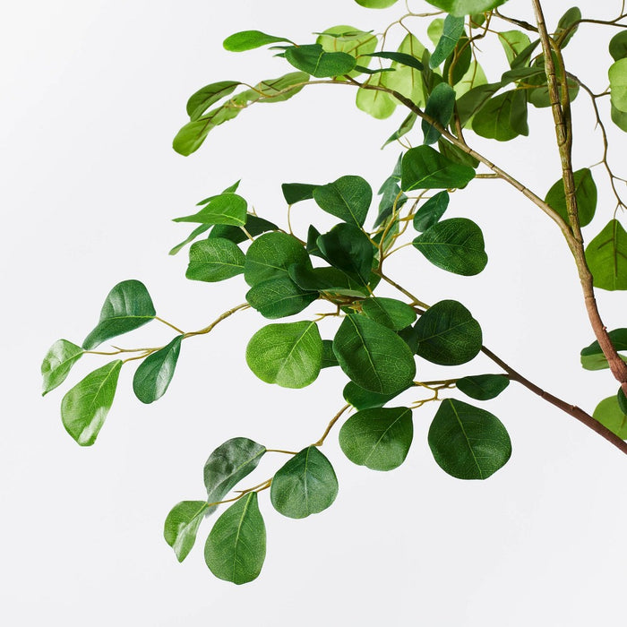 72" Artificial Ficus Tree - Threshold™ designed with Studio McGee (LOCAL PICKUP ONLY)