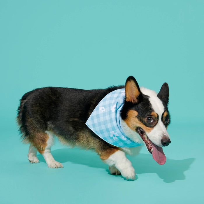 BARK The Easy Breezy Cool Dog Bandana - Blue - M/L