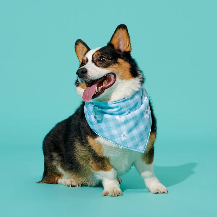 BARK The Easy Breezy Cool Dog Bandana - Blue - M/L