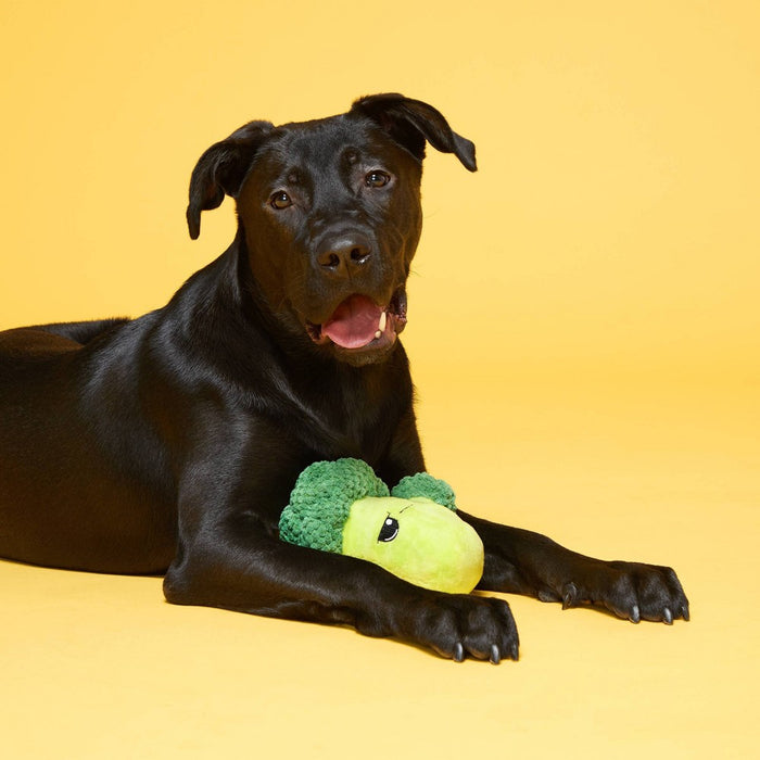 BARK Punk Brocc Broccoli Dog Toy