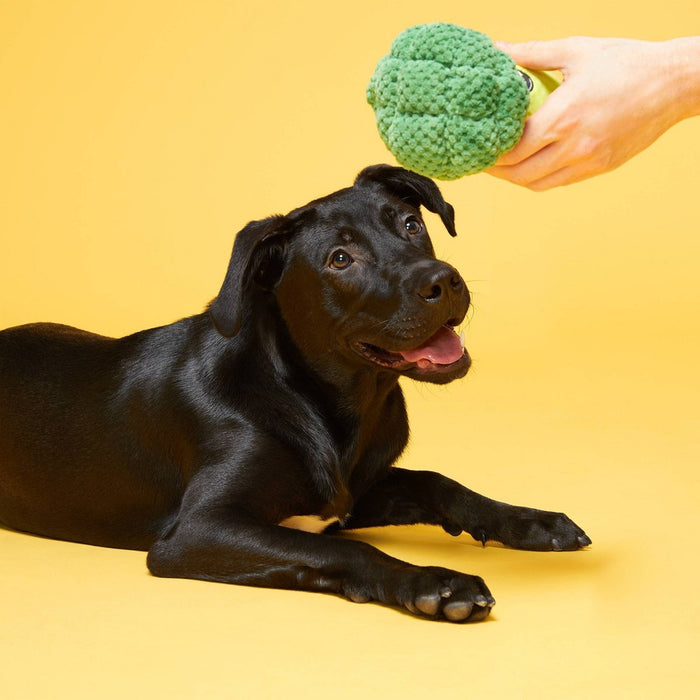 BARK Punk Brocc Broccoli Dog Toy