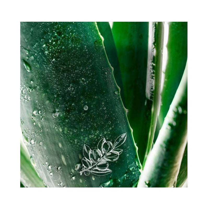 Herbal Essences bio:renew Hemp + Potent Aloe Sulfate Free Shampoo Frizz Control - 13.5 fl oz