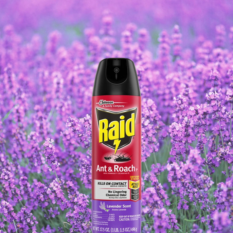 Raid Ant and Roach Killer Lavender Scent - 17.5oz