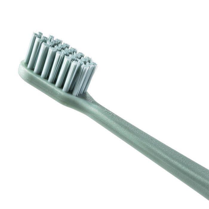 Manual Toothbrush - 2ct - Driftwood - Smartly™
