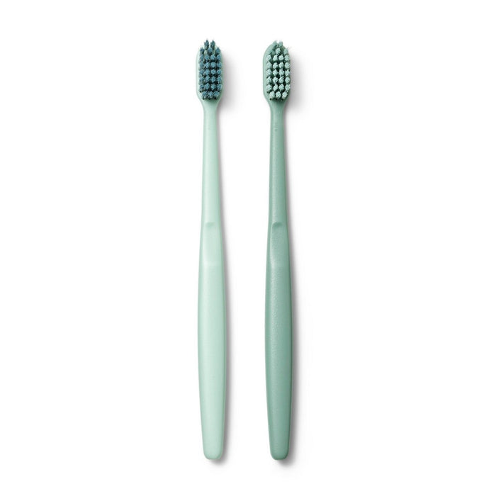 Manual Toothbrush - 2ct - Driftwood - Smartly™