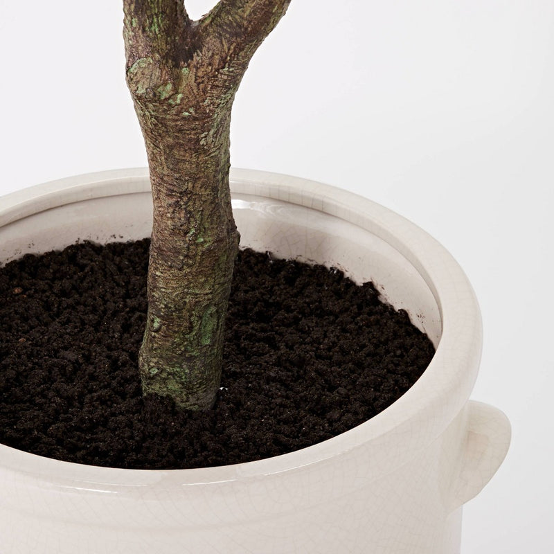 76.5"x 30" Artificial Olive Tree in Ceramic Pot - Threshold™ designed with Studio McGee (LOCAL PICKUP ONLY)