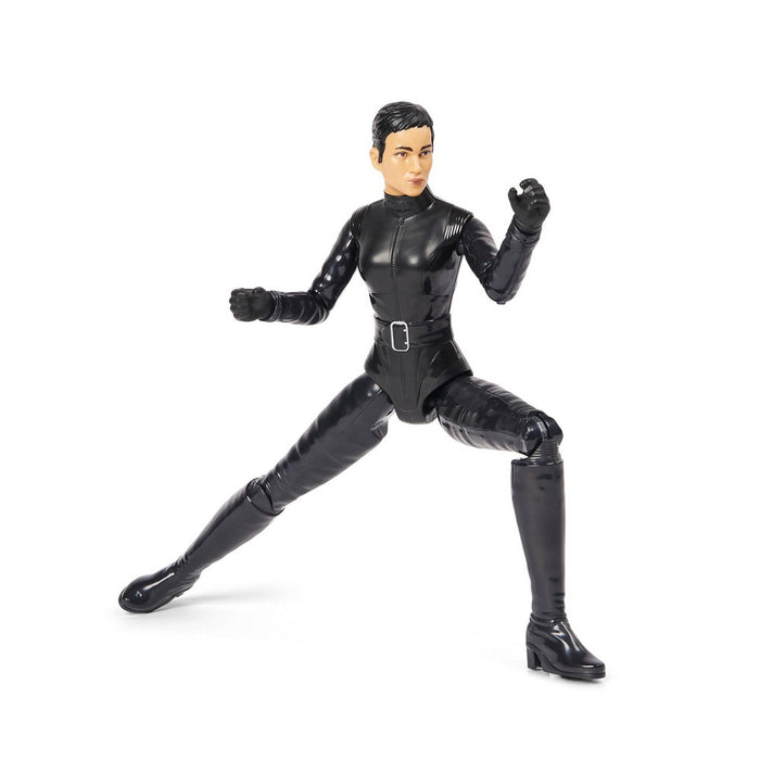 DC Comics 12" Selina Kyle Action Figure